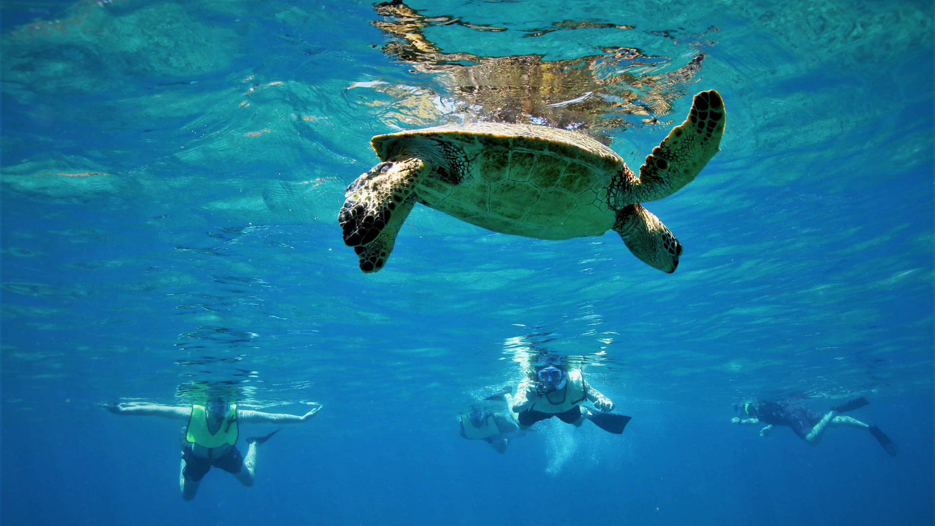 snorkeling in Crete